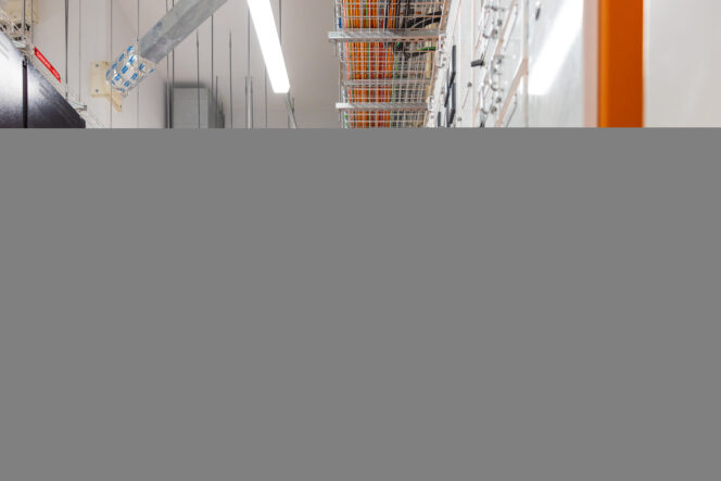 LAKELANDS-INSIGHT ELECTRICAL-COMMOTIONMEDIA 128A9442