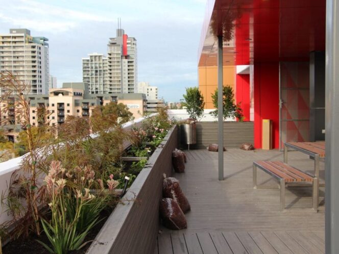 Roof Terrace